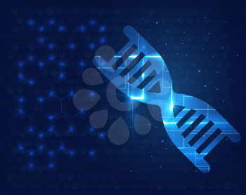 Human DNA molecule background. Science shining vector illustrator