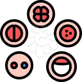 cell development color icon vector. cell development sign. isolated symbol illustration