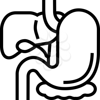 gastrointestinal tract line icon vector. gastrointestinal tract sign. isolated contour symbol black illustration
