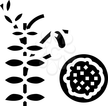 lentils groat glyph icon vector. lentils groat sign. isolated contour symbol black illustration