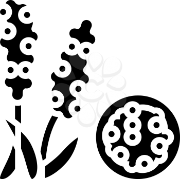 chumiz groat glyph icon vector. chumiz groat sign. isolated contour symbol black illustration