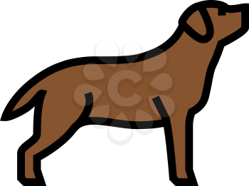 labrador retriever dog color icon vector. labrador retriever dog sign. isolated symbol illustration