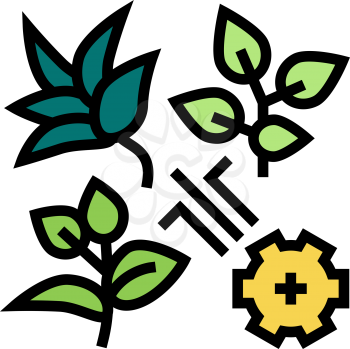 breeding varieties of tea color icon vector. breeding varieties of tea sign. isolated symbol illustration