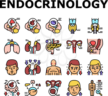 Endocrinology Medical Disease Icons Set Vector. Parathyroid And Pituitary Gland, Acromegaly And Hypothyroidism, Hypothalamus And Adrenal Insufficiency Endocrinology Line. Color Illustrations