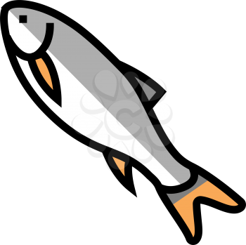rohu fish color icon vector. rohu fish sign. isolated symbol illustration