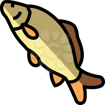 common carp color icon vector. common carp sign. isolated symbol illustration