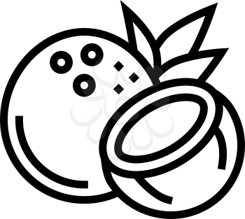 coconut exotic nut line icon vector. coconut exotic nut sign. isolated contour symbol black illustration