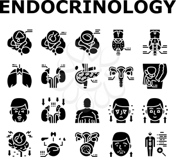Endocrinology Medical Disease Icons Set Vector. Parathyroid And Pituitary Gland, Acromegaly And Hypothyroidism, Hypothalamus Adrenal Insufficiency Endocrinology Glyph Pictograms Black Illustrations