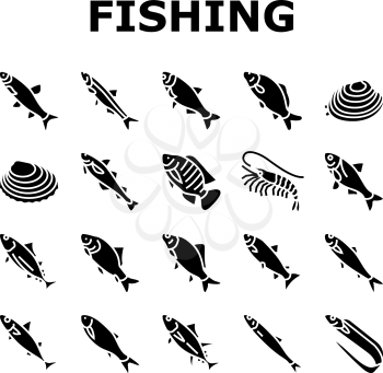 Commercial Fishing Aquaculture Icons Set Vector. Japanese Cockle And Anchovy, Common And Silver Carp, Rohu And Catle Fish, Chub Mackerel Tuna Fishing Business Glyph Pictograms Black Illustrations