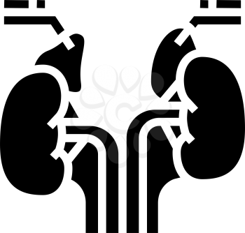 adrenals endocrinology glyph icon vector. adrenals endocrinology sign. isolated contour symbol black illustration