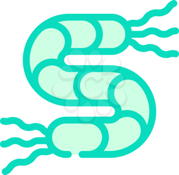 spirilla bacteria color icon vector. spirilla bacteria sign. isolated symbol illustration