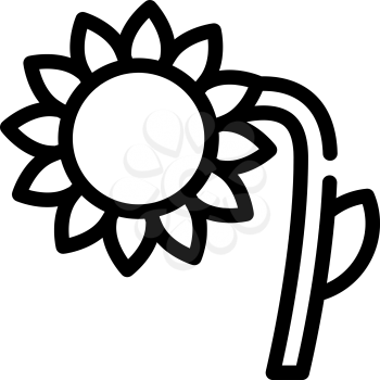 sunflower plant line icon vector. sunflower plant sign. isolated contour symbol black illustration