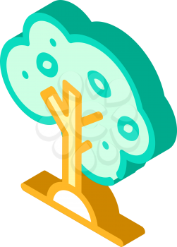 olive tree isometric icon vector. olive tree sign. isolated symbol illustration