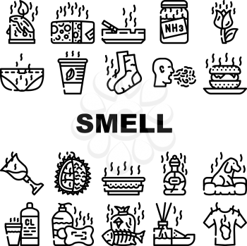 Smell Feel And Sense Collection Icons Set Vector. Cheese And Flowers, Smoking And Garbage Smell, Ammonia And Aroma Candles, Durian And Dog Black Contour Illustrations