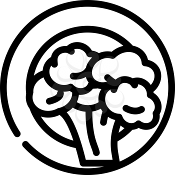vegetarian diet line icon vector. vegetarian diet sign. isolated contour symbol black illustration