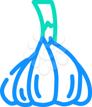 head of garlic color icon vector. head of garlic sign. isolated symbol illustration