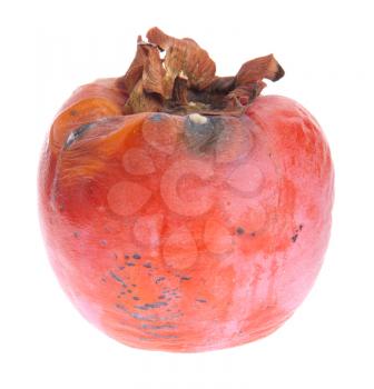 Royalty Free Photo of Rotten Persimmon