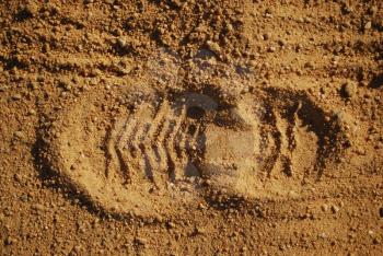 Royalty Free Photo of a Footprint in the Dirt