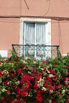 Royalty Free Photo of a Floral Balcony 