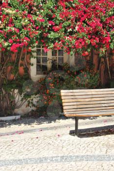 Royalty Free Photo of a Bench and Flowers