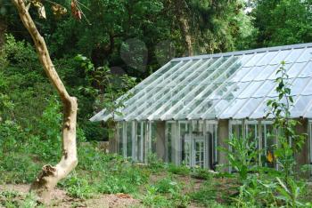 Royalty Free Photo of a Greenhouse in the Jungle