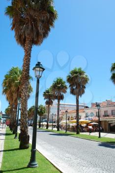 Royalty Free Photo of a Building and Palm Trees in Cascais, Portugal