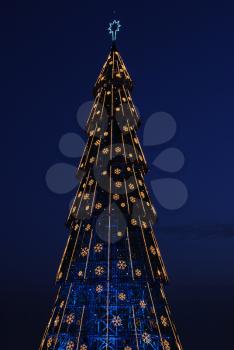 Royalty Free Photo of a Christmas Tree