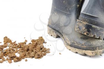 Royalty Free Photo of Farmer's Boots