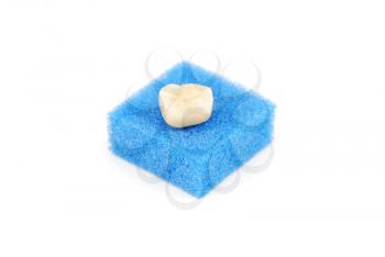 Royalty Free Photo of a Crown Tooth