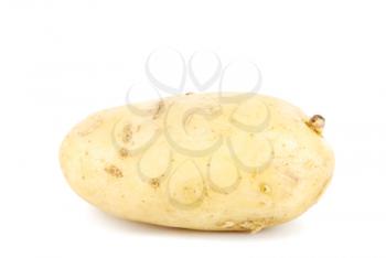 Royalty Free Photo of a Potato