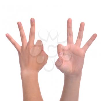 Royalty Free Photo of a Hands Giving an OK Sign