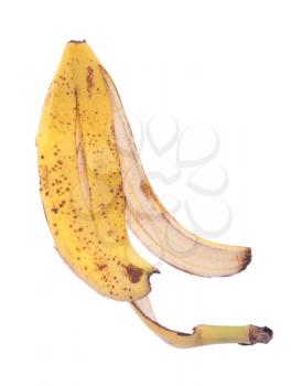Royalty Free Photo of a Banana Peel