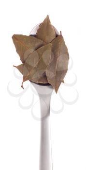 Royalty Free Photo of Bay Leaves on a Spoon