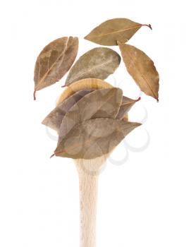 Royalty Free Photo of a Spoonful of Bay Leaves