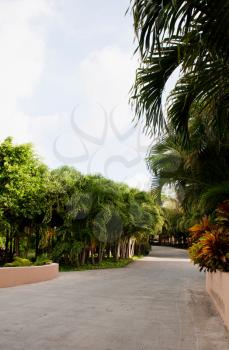 Royalty Free Photo of a Resort Pathway 