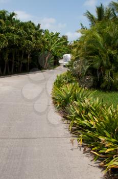 Royalty Free Photo of a Pathway to a Resort