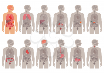 human body parts anatomy, vector medical organs icon 