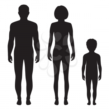 human body anatomy,front vector man, woman and child silhouette