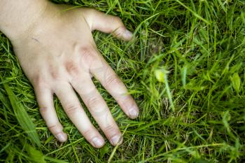 A hand in the green grass