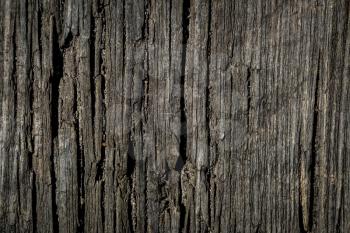 closeup of a old rustic wood plank