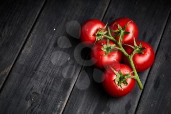 stock photo of tomatoes on a stem background