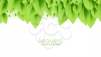 bunch of green leaves background design