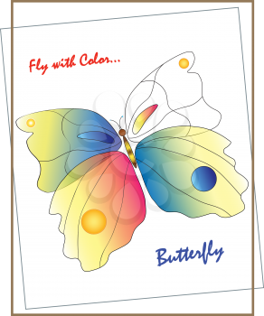 Butterfly for the banner, card, advertising.