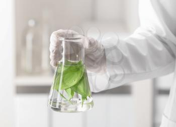 Lab worker holding flask with leaves on blurred background, closeup 