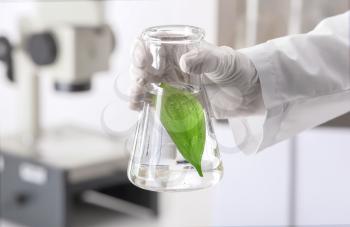 Lab worker holding flask with leaf on blurred background, closeup�
