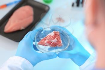 Scientist holding Petri dish with meat sample in laboratory, closeup�