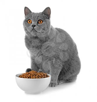 Adorable cat and bowl with food on white background�