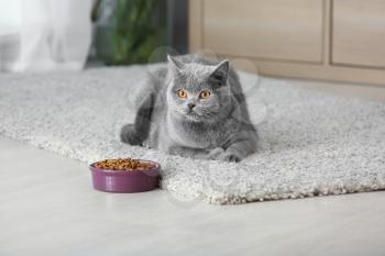 Adorable cat near bowl with food at home�