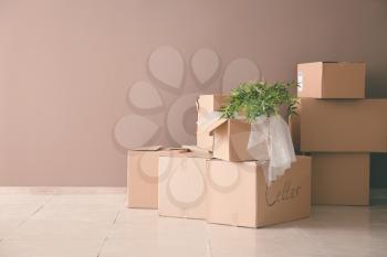 Packed carton boxes on floor near wall. Moving house concept�