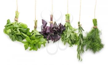 Bunches of fresh herbs on white background�